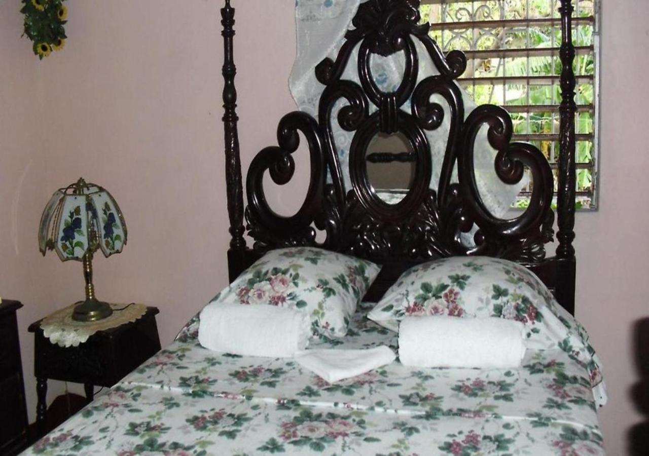 Kingston Airport Bed And Breakfast Bagian luar foto