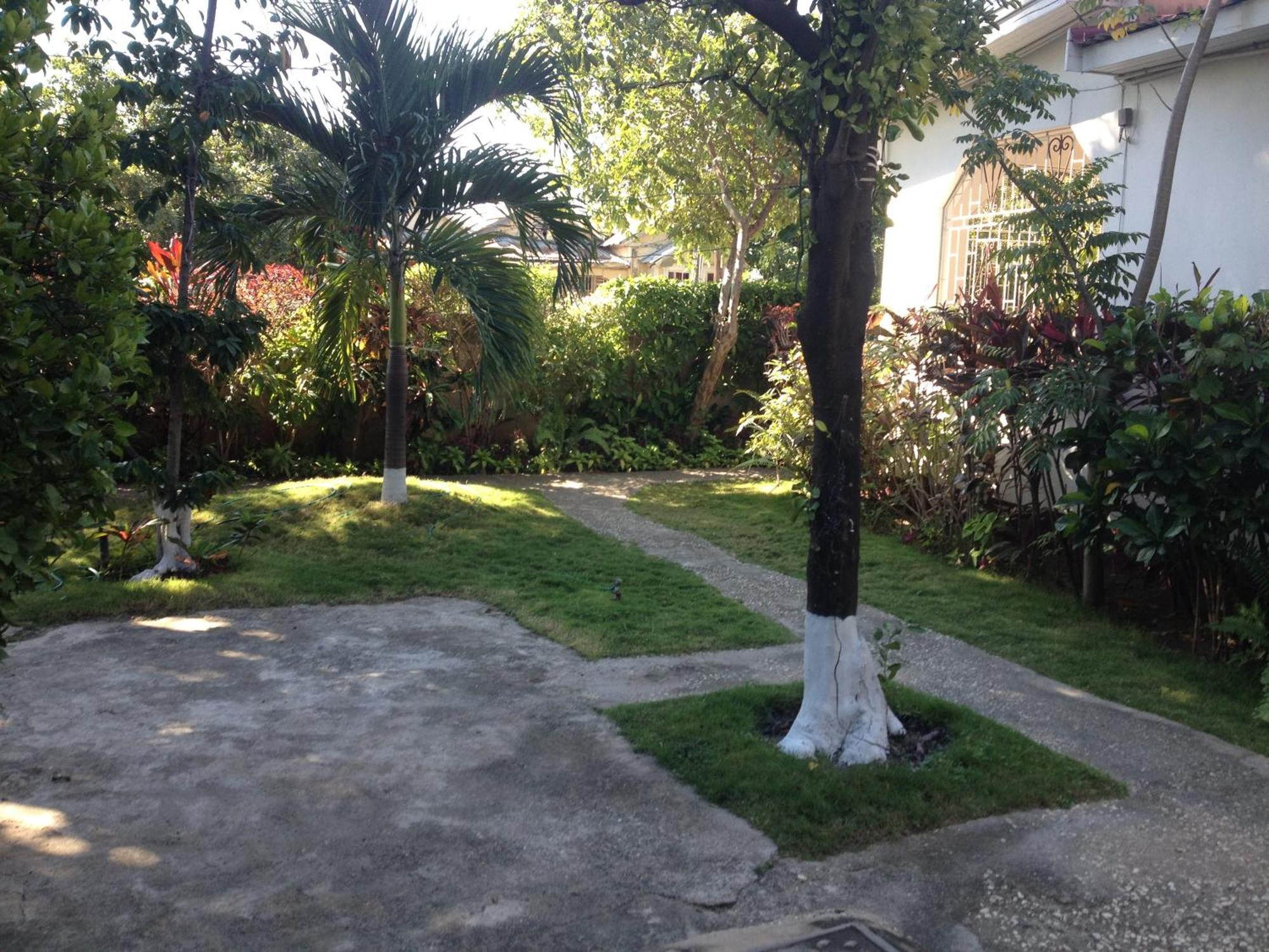 Kingston Airport Bed And Breakfast Bagian luar foto