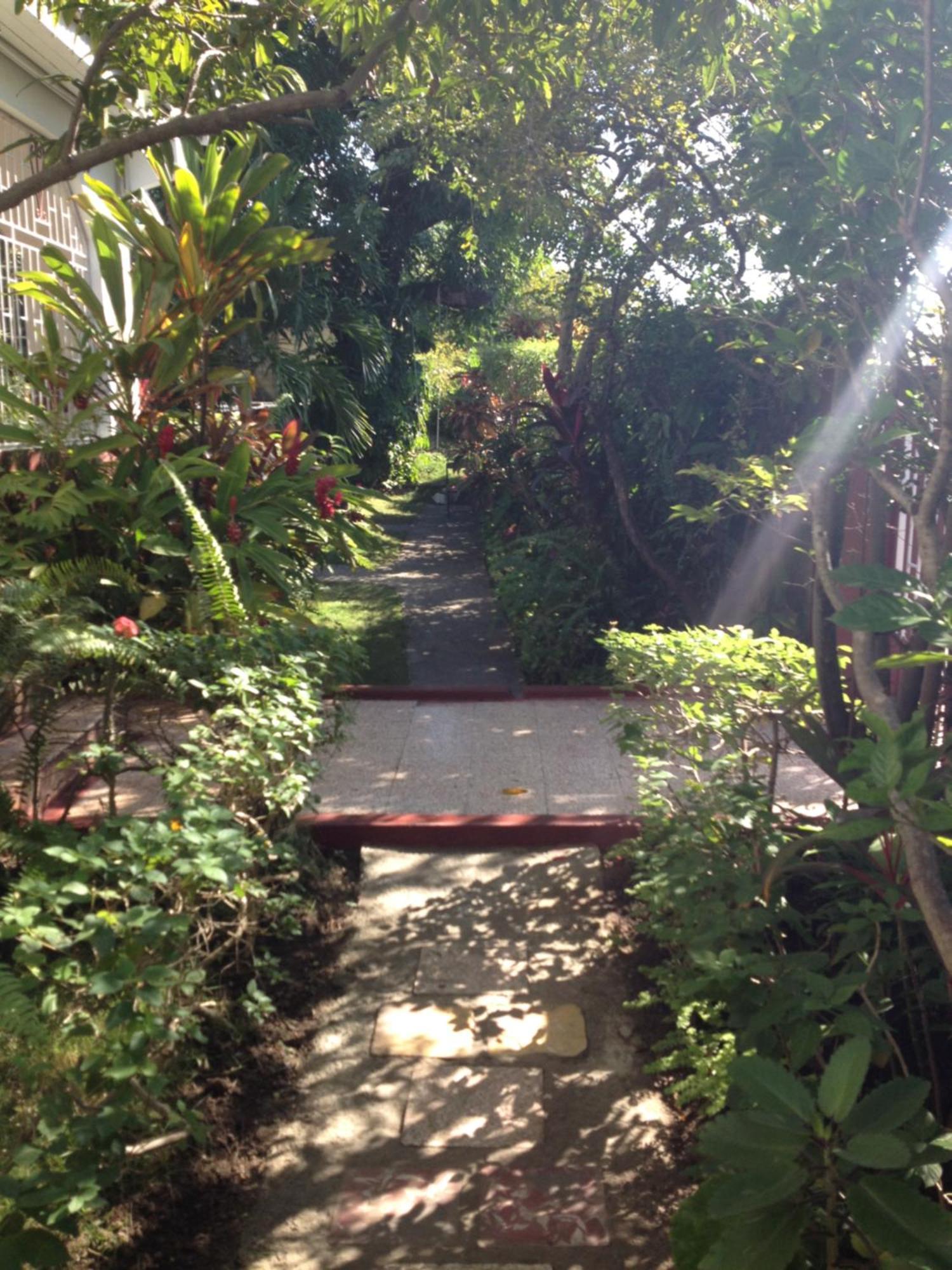 Kingston Airport Bed And Breakfast Bagian luar foto